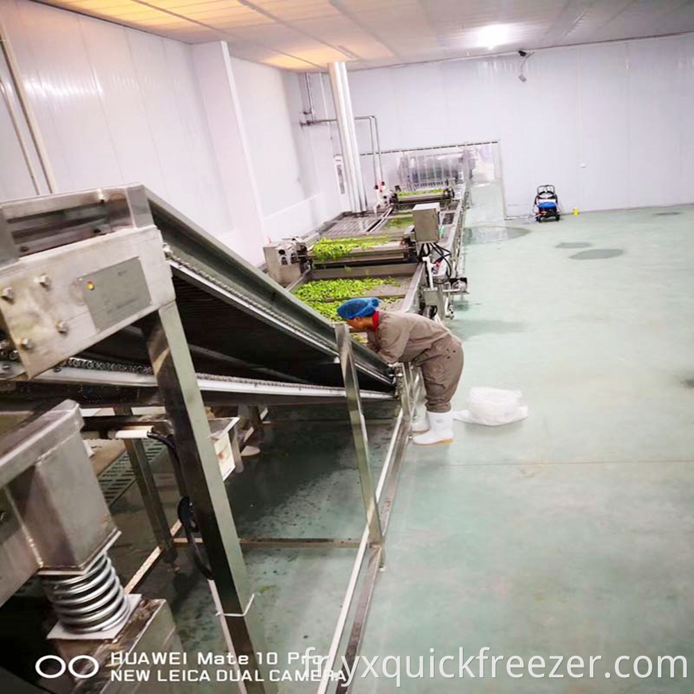 Fluidized Tunnel Freezer For Green Beans